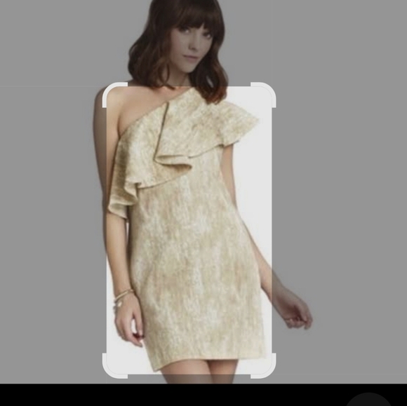 BCBGeneration Tan Cream Asymmetrical Ruffled Sheath Dress - Picture 1 of 9